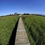 აღკვეთილი I საგანმანათლებლო ბილიკი