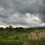 გაზაფხული ჭაჭუნაში.