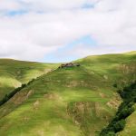 გოგრუთა