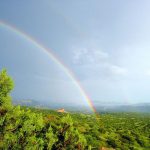 ვაშლოვანის ქვაბული