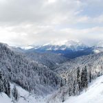 თოვლით დაფარული ნიკოლოზ რომანოვის ბილიკი