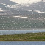 მადატაფა და ვარხვები