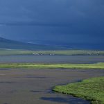 მადატაფა