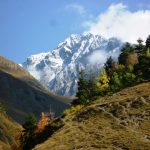 მწვერვალი ქომიტო