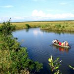 ნაბადას ტორფნარები. კოლხეთის ეროვნული პარკი
