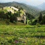 პანორამების ბილიკი