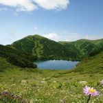 ტბიყელის ტბა მინდვრის გვირილები