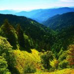 ქვაბისხევის ხეობა, ნაკვალევის ბილიკი