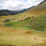 შენაქოს ბოსლები