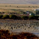 ჯდტ-მადათაფა-4