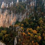 Amiran kodiashvili - Arcivis xeoba