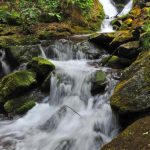 Borjomi - Sergo Edisherashvili-0059