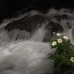 Kintrishi - Mariam Sulamanidze-0001