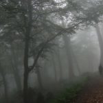 Kintrishi - Mariam Sulamanidze-0003