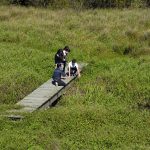 Kobuleti - Sero Edisherashvili-025