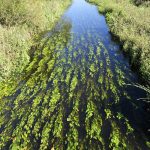 Kobuleti - Sero Edisherashvili-039