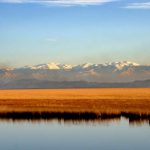 Kolkheti - Davit Natroshvili-0016