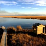 Kolkheti - Davit Natroshvili-0044