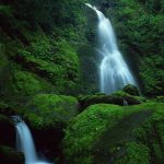 Georgien, Mtirala NP