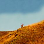 Lagodekhi -  - 00009