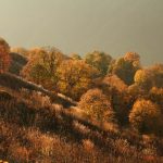 Lagodekhi -  - 00037