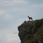 Lagodekhi - Bogdan Eriashvili - 00007