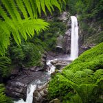 Lagodekhi - Miqael Kavtaradze 00006