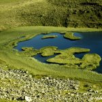 Lagodekhi - Miqael Kavtaradze - 00040