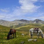 Lagodekhi - Roman Tolordava008