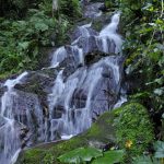 Mtirala - Sergo Edisherashvili-0043