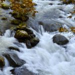 Mtirala - Sergo Edisherashvili-0064