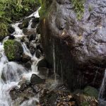 Mtirala - Sergo Edisherashvili-0083