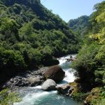 Mtirala - Sergo Edisherashvili-0126