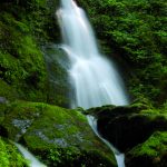 Mtirala - Sergo Edisherashvili-0133