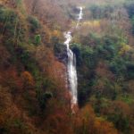 Mtirala - Sergo Edisherashvili-0147