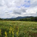 Tbilisi - Dusheti - Sergo Edisherashvili-0017