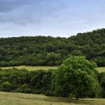Tbilisi - Sergo Edisherashvili-0027