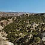 Vashlovani - G. Sulamanidzes gamogzavnili-0007