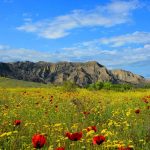 Vashlovani - Vazha Kochiashvili sm